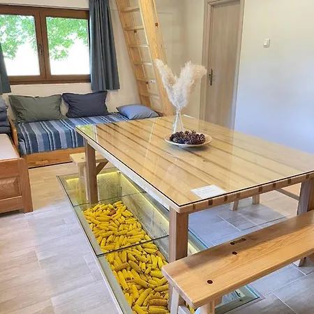 Mountain Heart House Petrovac